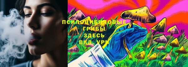 прущие грибы Арсеньев