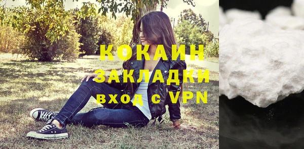прущие грибы Арсеньев