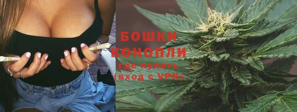 прущие грибы Арсеньев