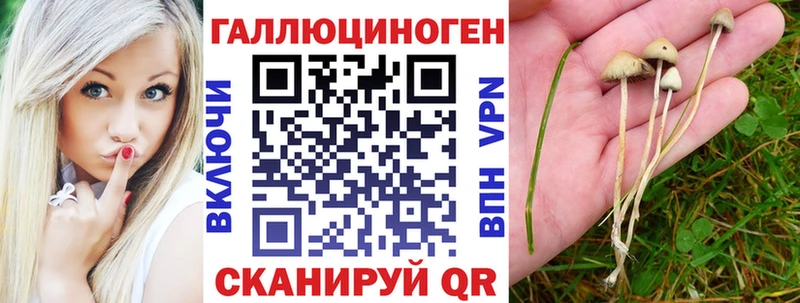 Псилоцибиновые грибы мицелий  shop состав  Узловая 